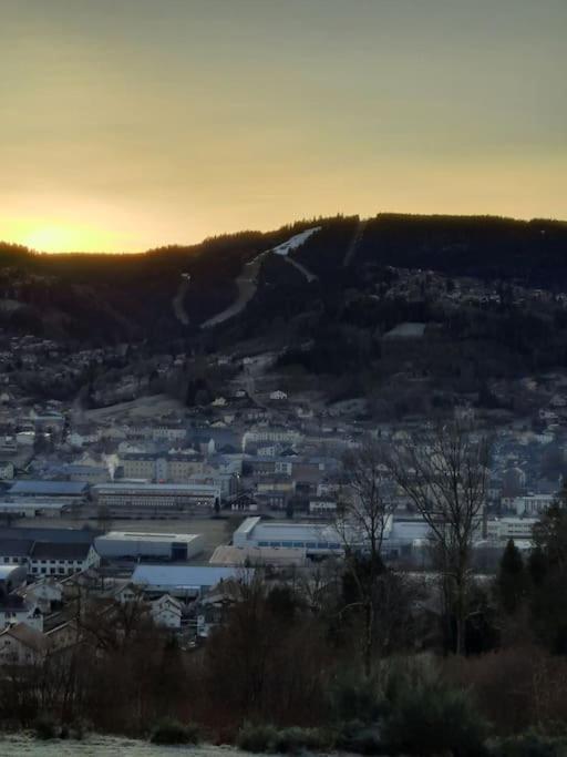 Appartement Residence Les Dryades Avec Vue Montagne Gérardmer Extérieur photo